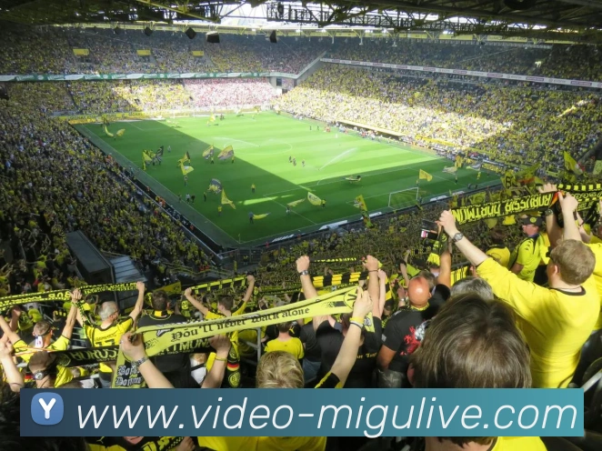 多媒体互动体验